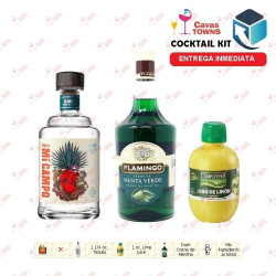 Cocktail Kit Mockingbird Receta Recipe - Cavas Towns