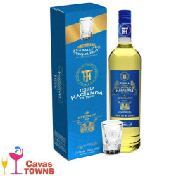 Tequila Hacienda de Tepa Reposado 700 ml - Cavas Towns